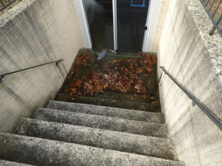 Basement Kings | Comprehensive Guide to Cleaning a Flooded Basement