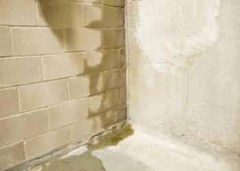 Basement Kings | How Can You Effectively Repair and Prevent Basement Leaks? Explore Solutions and Tips!
